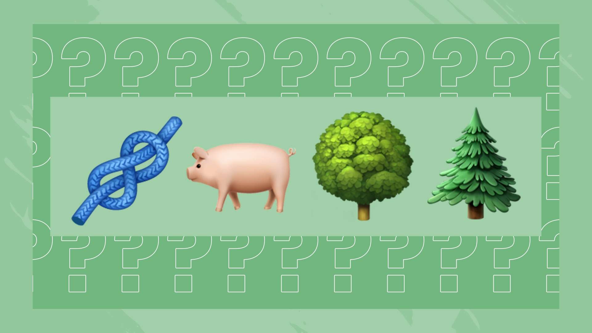 内发生了激 内发生了激